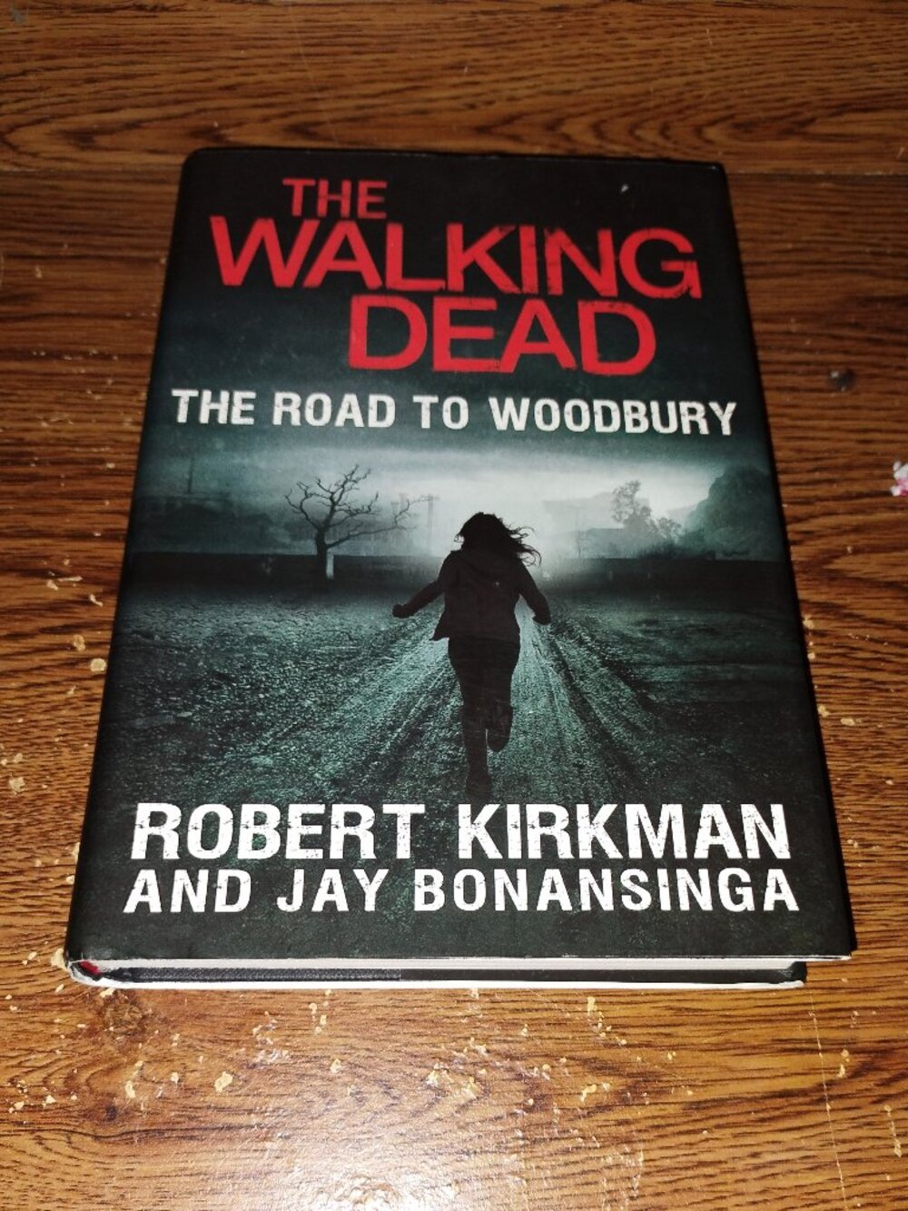 The Walking Dead : The Road to Woodbury (Robert Kirkman, 2012) Hardcover Book